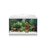 Kit AQUA-LED PRO 45 Blanco con Filtro Interior