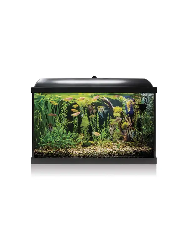 kit-aqua-led-pro-68-negro-con-filtro-interior