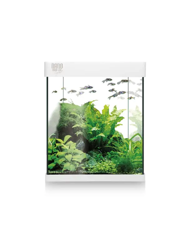 kit-nano-aqua-led-10-l-acuario
