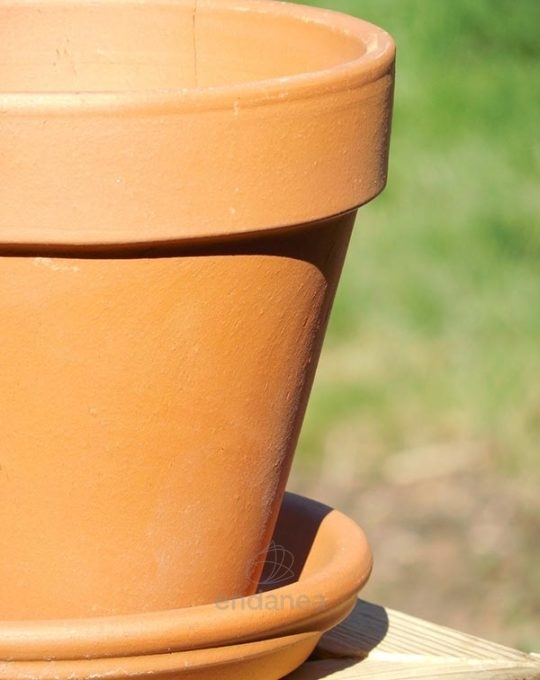 maceta-de-barro-con-plato