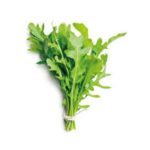 Rúcula planta