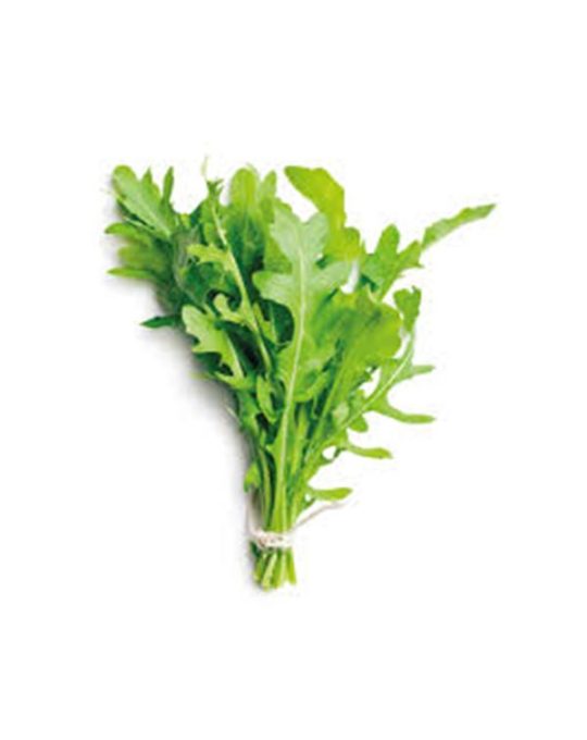 rucula-planta