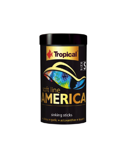 tropical-soft-line-america-s