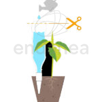 adaptador-de-botellas-para-riego-blumat-instalacion