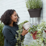 Loft-Urban-Green-Wall-Duo1