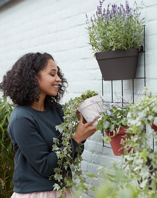 Loft-Urban-Green-Wall-Duo1