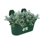 green-basics-hanger-large
