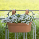 green-basics-hanger-large2