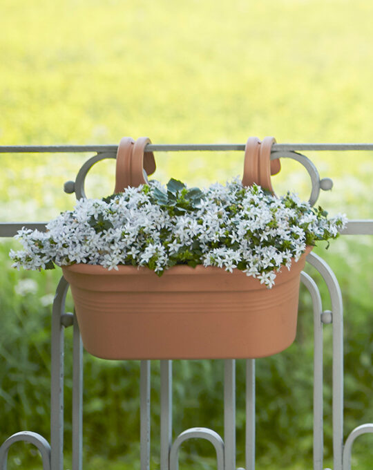 green-basics-hanger-large2