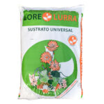 Tierra Universal Lore Lurra