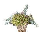 cesta-hortensias-km0