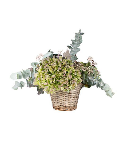 cesta-hortensias-km0
