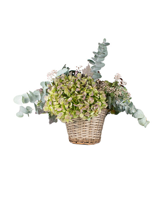 cesta-hortensias-km0