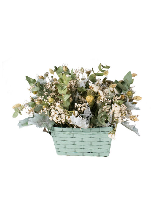 composicion-infantil-flor-seca-blanco