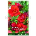 freesia-bulbo-flor-doble-rojo