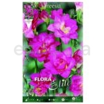 freesia-bulbo-flor-doble-rosa