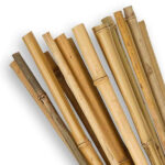 nature-tutor-bambu-natural