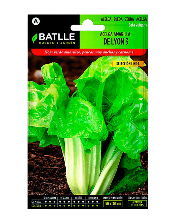 semilla-acelga-amarilla-de-lyon-3-batlle