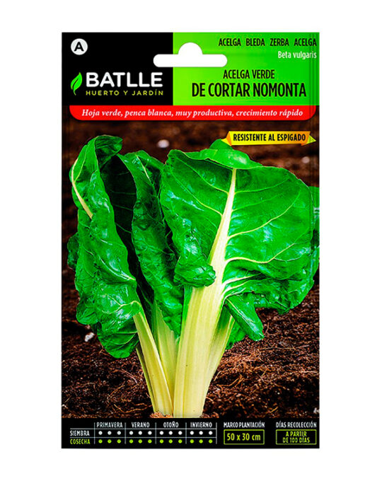 semilla-acelga-verde-de-cortar-nomonta-batlle