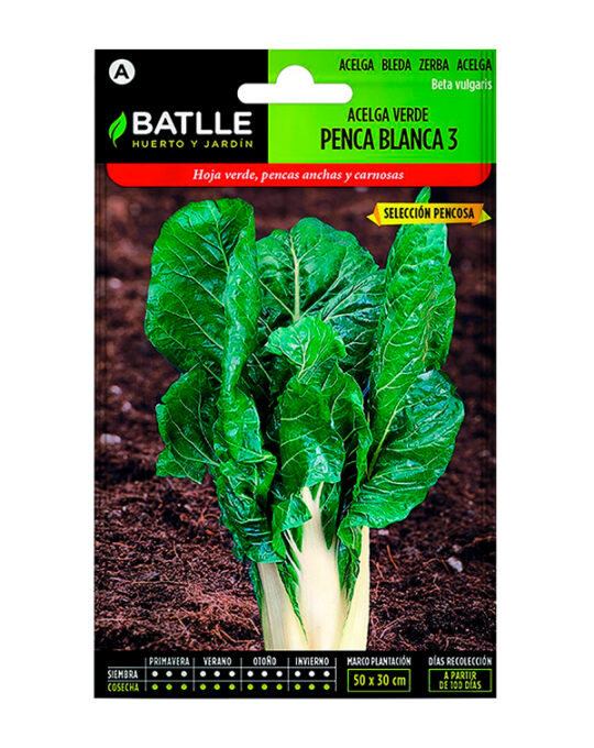 semilla-acelga-verde-pencablanca-3–battle