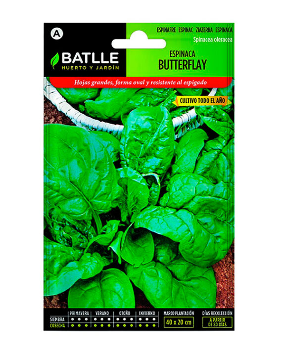 semilla-espinaca-butterflay-batlle