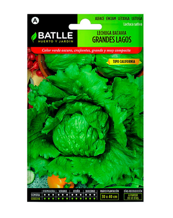 Semilla Lechuga Batavia Grandes Lagos Batlle