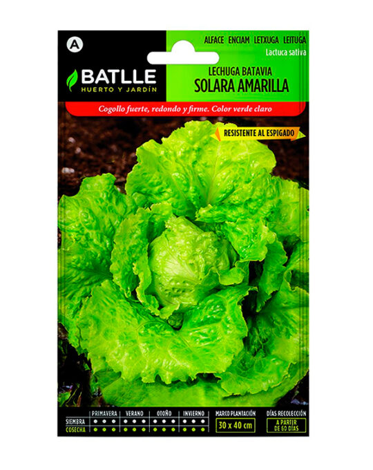 semilla-lechuga-batavia-solara-amarilla-batlle