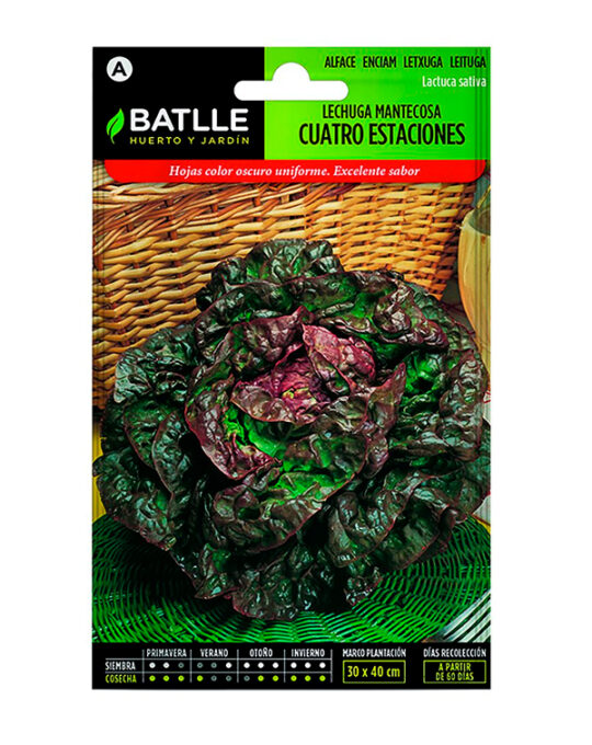 semilla-lechuga-matnecosa-cuatro-estaciones-batlle