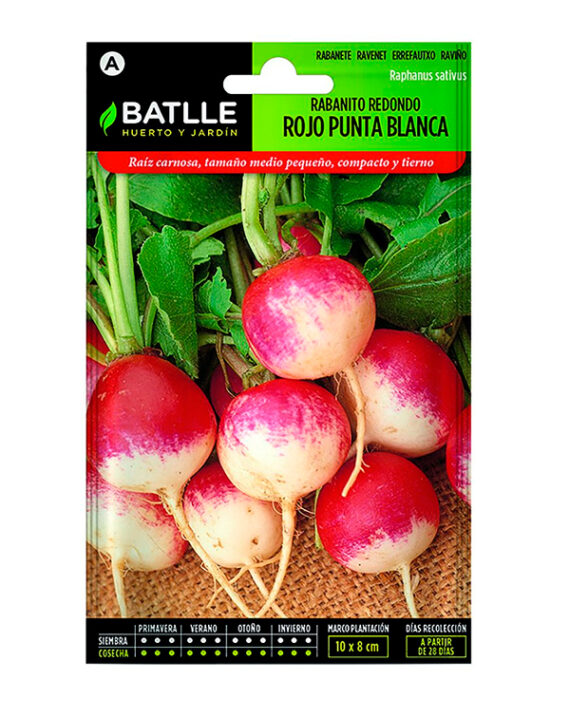 Semilla Rabanito Redondo Rojo Punta Blanca Batlle
