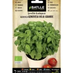 Semillas Ecológicas Albahaca Genovesa Hoja Grande