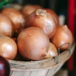 Semillas Ecológicas Cebolla Amarilla de Parma