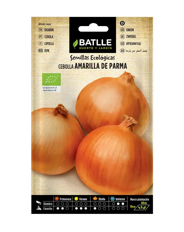 semillas-ecologicas-cebolla-amarilla-de-parma