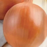 Semillas Ecológicas Cebolla Babosa