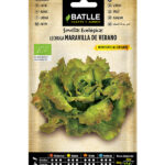 Semillas Ecológicas Lechuga Maravilla de Verano Batlle
