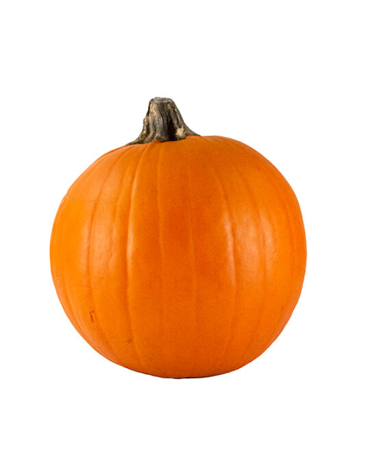 calabaza-halloween