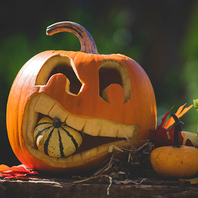 taller-calabazas-halloween-endanea