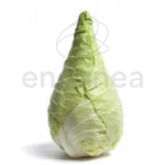 col-picuda-planta-huerto