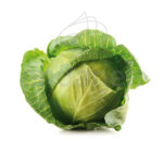 col-repollo-planta-huerto