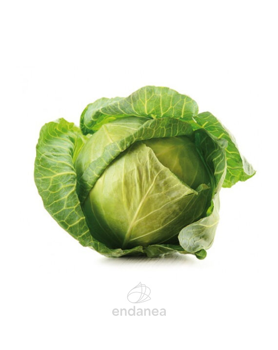 col-repollo-planta-huerto