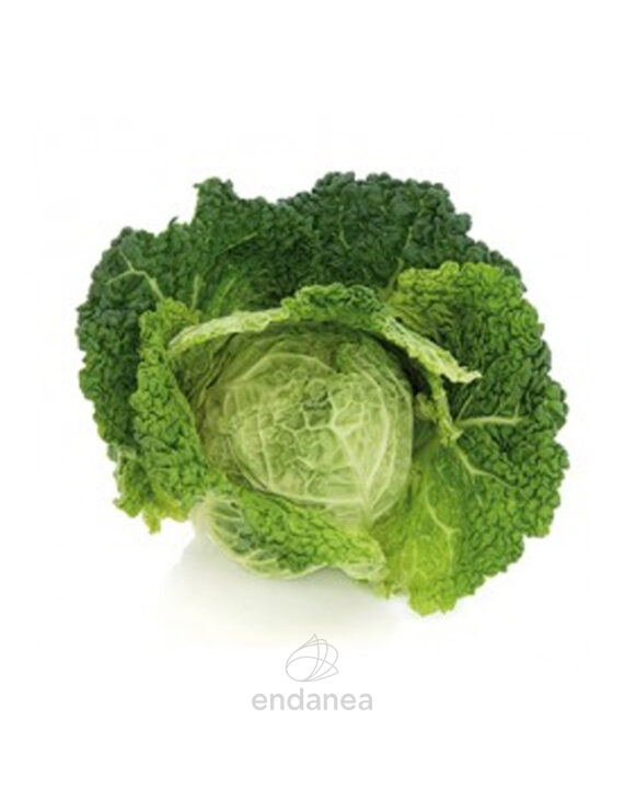 col-rizada-planta-huerto