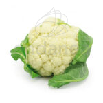 Coliflor Planta 12 unidades
