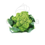 coliflor-verde-planta-huerto
