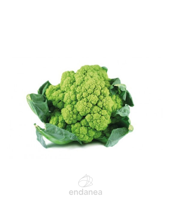 coliflor-verde-planta-huerto
