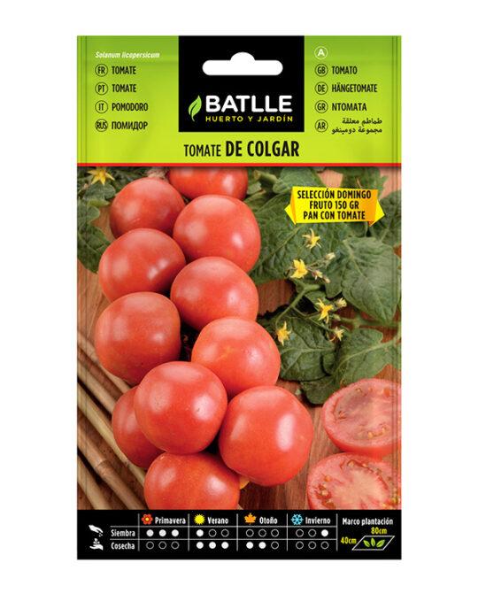semillas-tomate-de-colgar-batlle