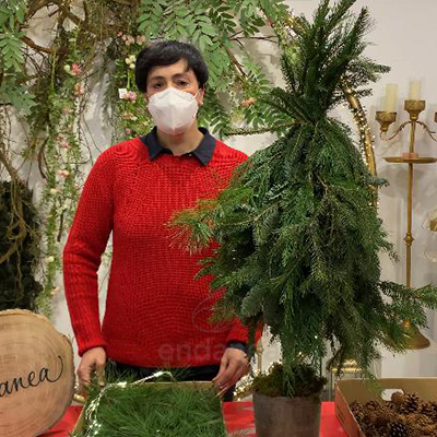 taller-crear-arbol-navidad