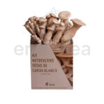 Kit Autocultivo de Setas - Setas de Cardo Blanco