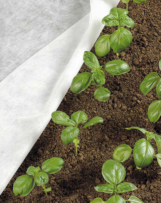 malla-antiheladas-proteccion-cultivo-strocker-2