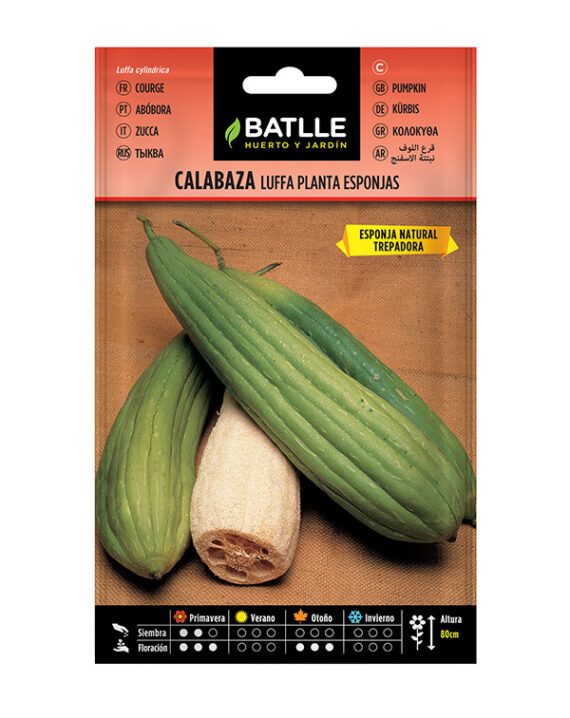 Semillas Calabaza Luffa Esponja Batlle