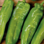 Semillas Pimiento Cristal Batlle