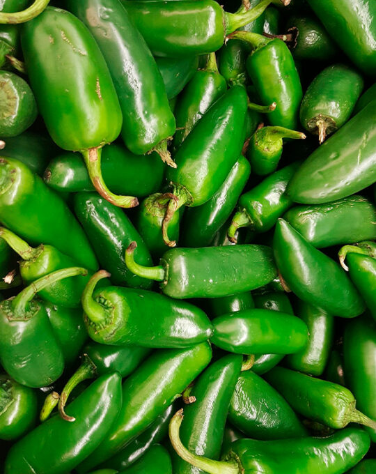 semillas-pimiento-jalapeno-batlle-1